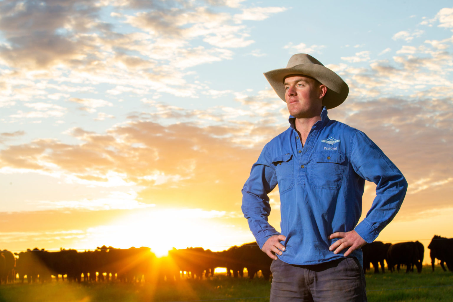 Midfield 101120gw 63